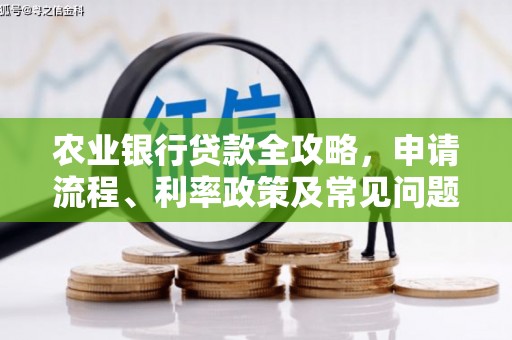 宾阳农业银行贷款全攻略，申请流程、利率政策及常见问题解析