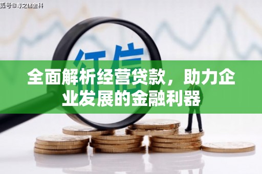 宾阳全面解析经营贷款，助力企业发展的金融利器