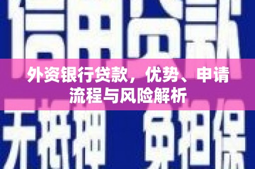 宾阳外资银行贷款，优势、申请流程与风险解析