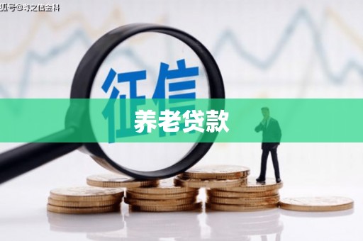 宾阳养老贷款