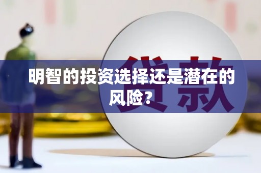 宾阳明智的投资选择还是潜在的风险？
