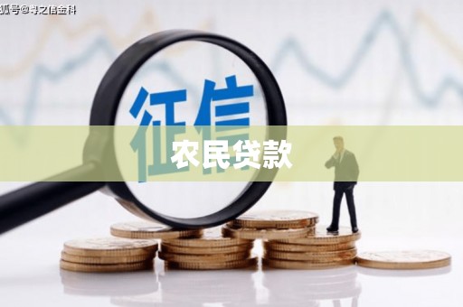 宾阳农民贷款