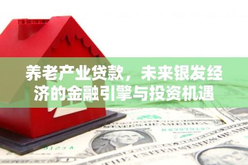 宾阳养老产业贷款，未来银发经济的金融引擎与投资机遇