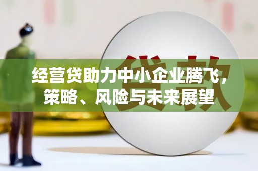 宾阳经营贷助力中小企业腾飞，策略、风险与未来展望