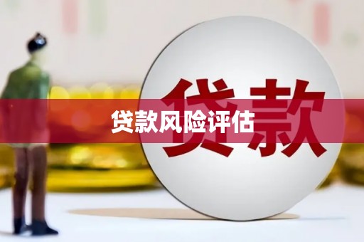 宾阳贷款风险评估