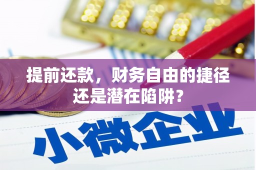宾阳提前还款，财务自由的捷径还是潜在陷阱？
