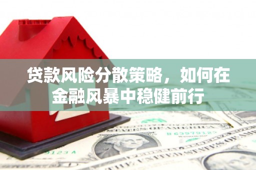 宾阳贷款风险分散策略，如何在金融风暴中稳健前行