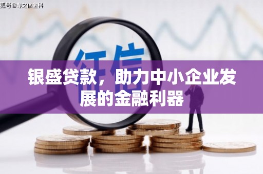 宾阳银盛贷款，助力中小企业发展的金融利器