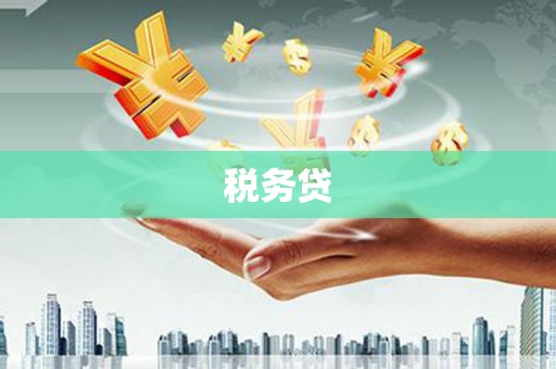 宾阳税务贷