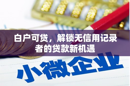 宾阳白户可贷，解锁无信用记录者的贷款新机遇