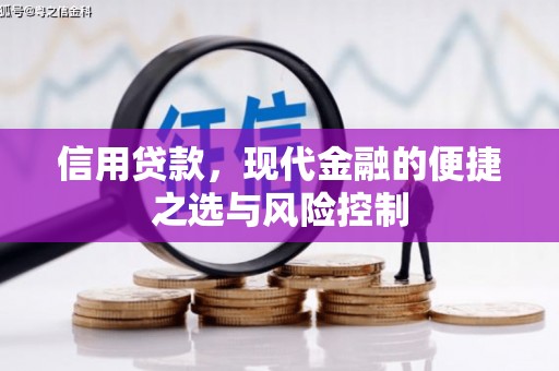 宾阳信用贷款，现代金融的便捷之选与风险控制