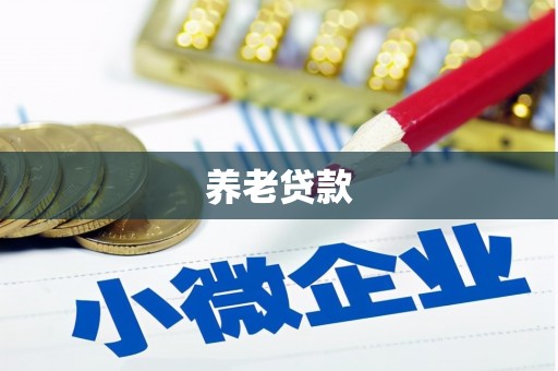 宾阳养老贷款