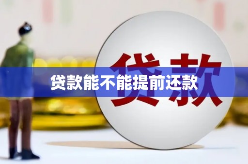 宾阳贷款能不能提前还款