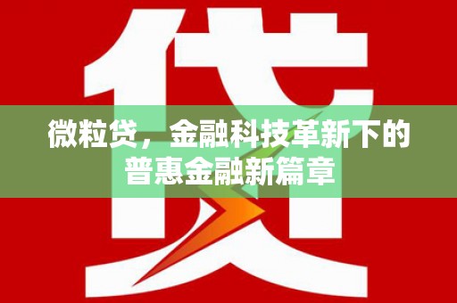 宾阳微粒贷，金融科技革新下的普惠金融新篇章