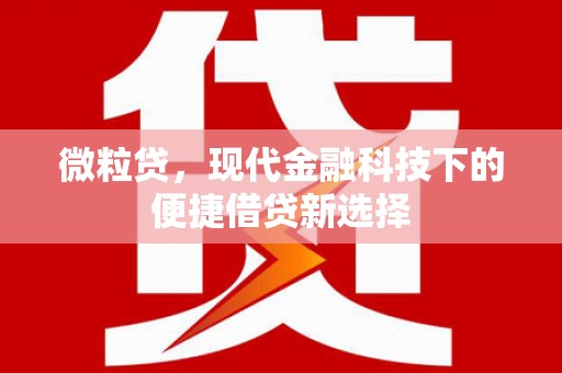 宾阳微粒贷，现代金融科技下的便捷借贷新选择