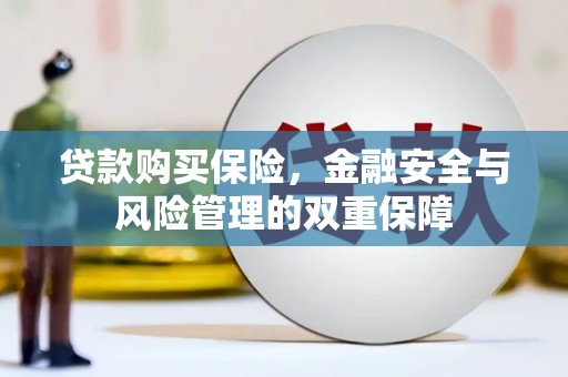 宾阳贷款购买保险，金融安全与风险管理的双重保障