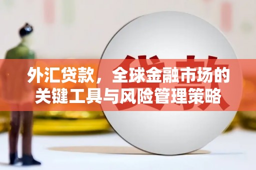 宾阳外汇贷款，全球金融市场的关键工具与风险管理策略