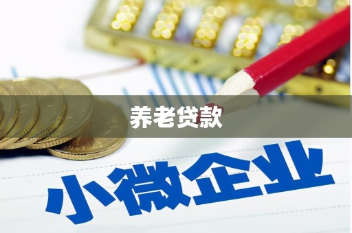 宾阳养老贷款
