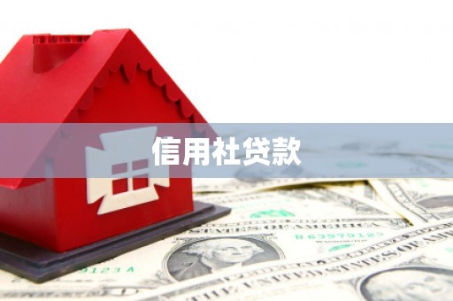 宾阳信用社贷款