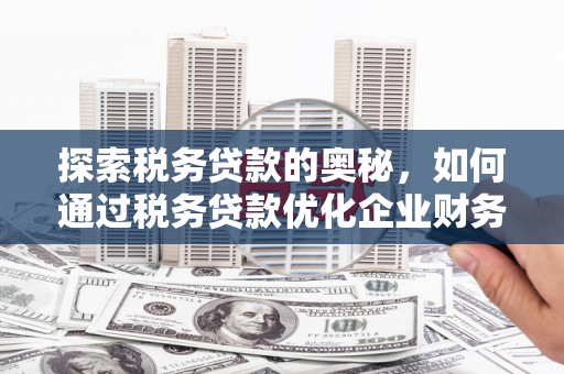 宾阳探索税务贷款的奥秘，如何通过税务贷款优化企业财务