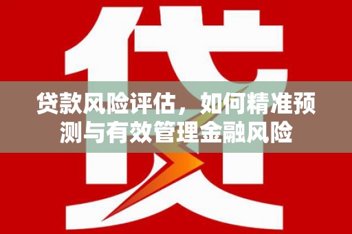 宾阳贷款风险评估，如何精准预测与有效管理金融风险