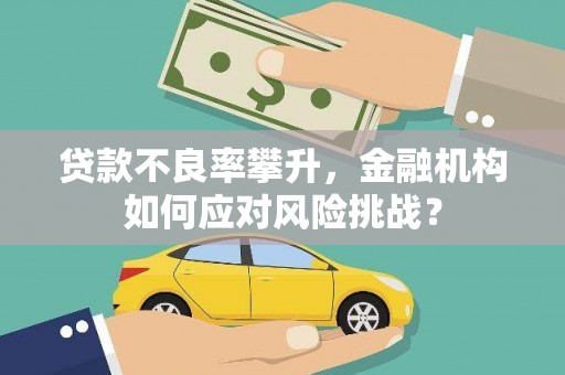 宾阳贷款不良率攀升，金融机构如何应对风险挑战？