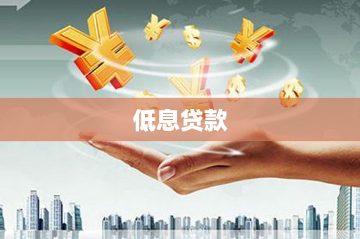 宾阳低息贷款