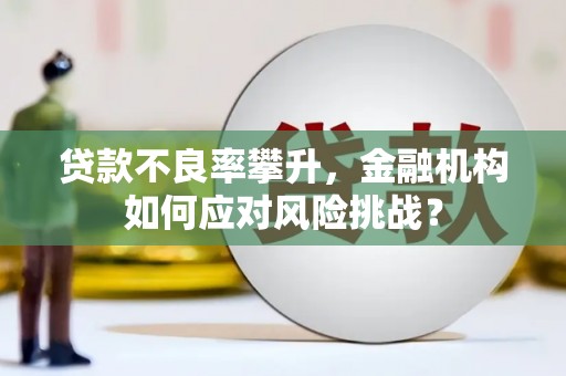 宾阳贷款不良率攀升，金融机构如何应对风险挑战？