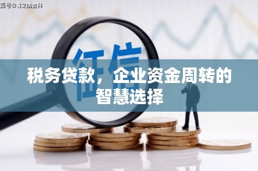 宾阳税务贷款，企业资金周转的智慧选择