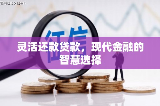 宾阳灵活还款贷款，现代金融的智慧选择