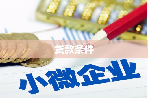 宾阳贷款条件