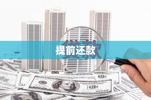 宾阳提前还款