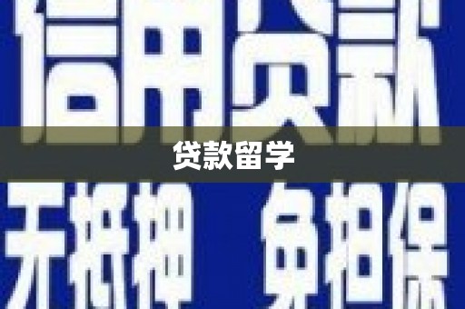 宾阳贷款留学