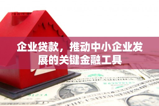 宾阳企业贷款，推动中小企业发展的关键金融工具