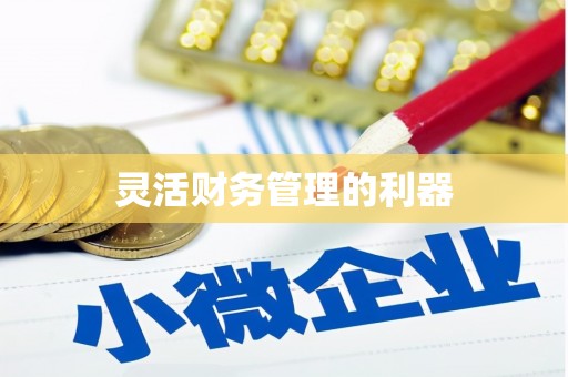 宾阳灵活财务管理的利器