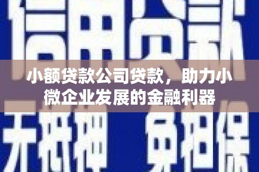 宾阳小额贷款公司贷款，助力小微企业发展的金融利器