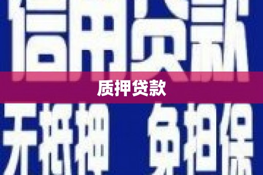 宾阳质押贷款