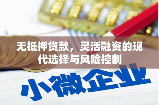 宾阳无抵押贷款，灵活融资的现代选择与风险控制