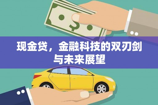 宾阳现金贷，金融科技的双刃剑与未来展望