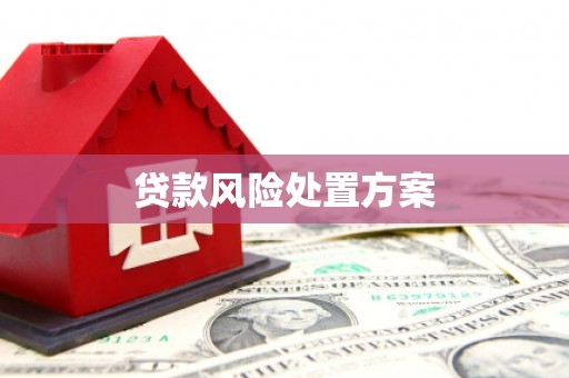 宾阳贷款风险处置方案