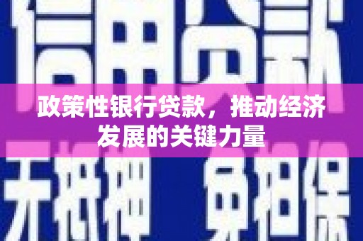 宾阳政策性银行贷款，推动经济发展的关键力量