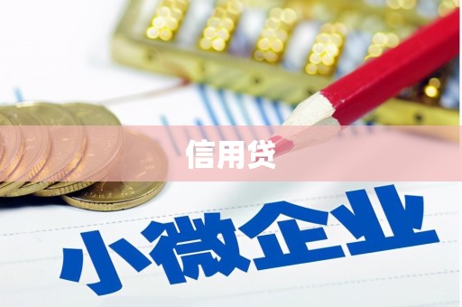 宾阳信用贷