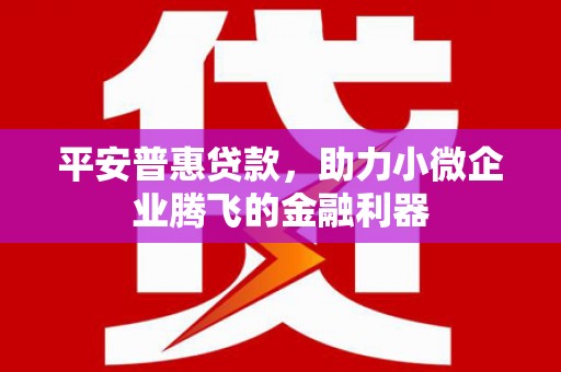 宾阳平安普惠贷款，助力小微企业腾飞的金融利器