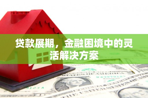 宾阳贷款展期，金融困境中的灵活解决方案