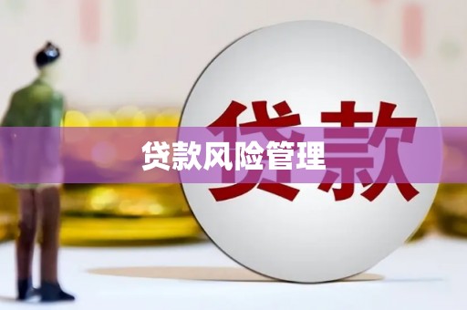 宾阳贷款风险管理