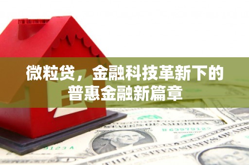 宾阳微粒贷，金融科技革新下的普惠金融新篇章