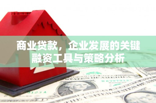 宾阳商业贷款，企业发展的关键融资工具与策略分析