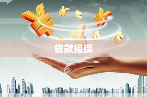 宾阳贷款担保