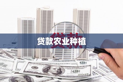 宾阳贷款农业种植