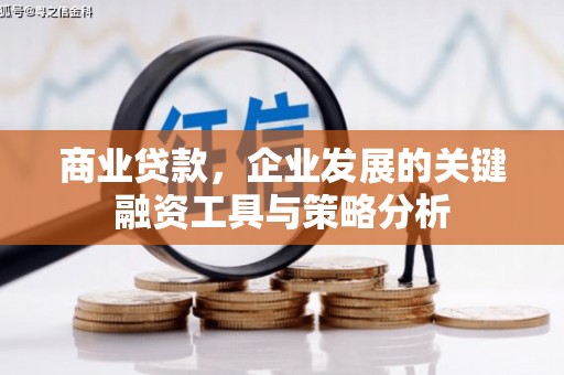 宾阳商业贷款，企业发展的关键融资工具与策略分析